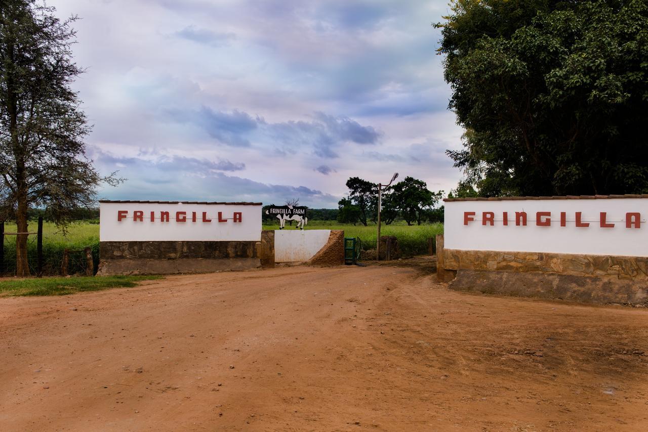 Fringilla Lodge Chisamba Eksteriør billede